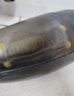 Exhaust Pipe KTM 125 EXC Six Days